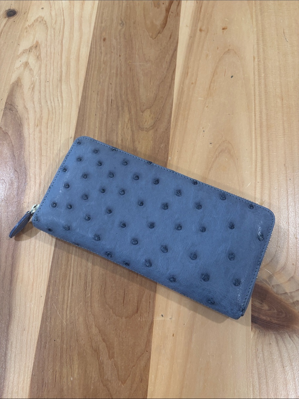 Ostrich Leather Clutch